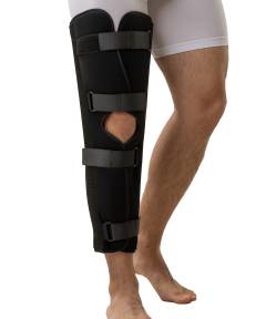 Knee joint tutor