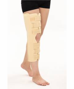 Knee joint tutor